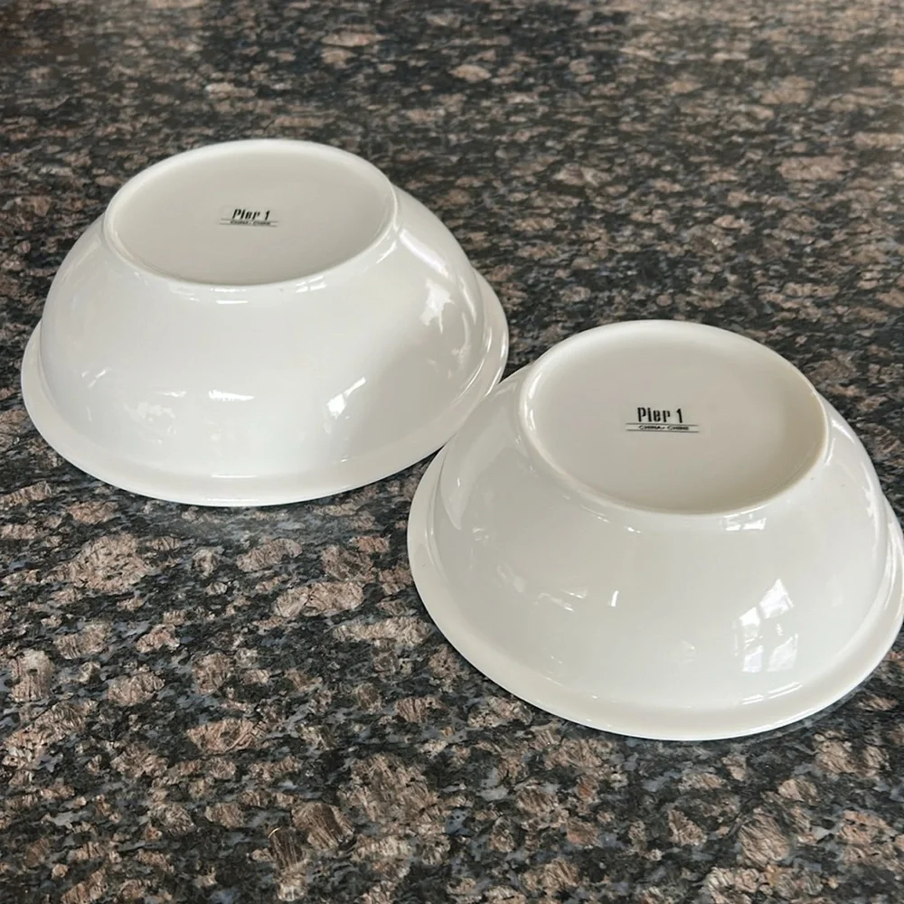 PIER 1 BOWLS LOT OF 2